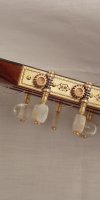 Chitarra 3